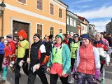 2020_02_22 - Fasching in Litschau - 6.jpg